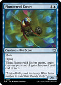 Plumecreed Escort
